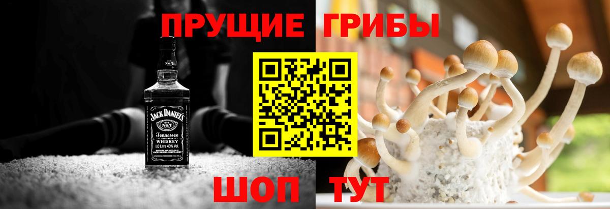 Галлюциногенные грибы Magic Shrooms Волжск
